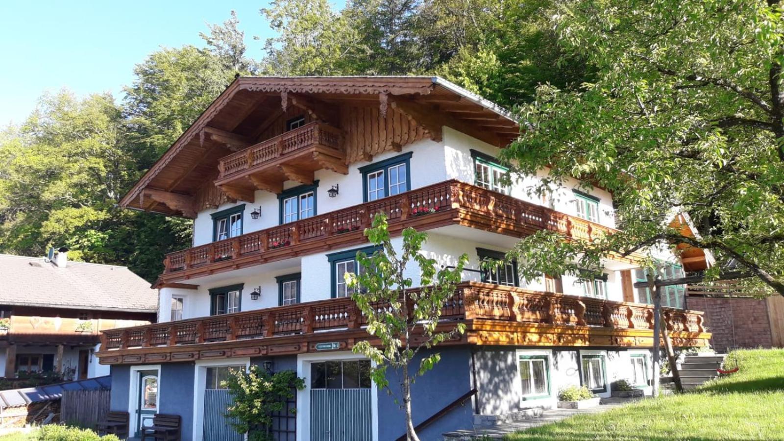 Ferienwohnung Appesbacher Sankt Wolfgang im Salzkammergut Exterior photo